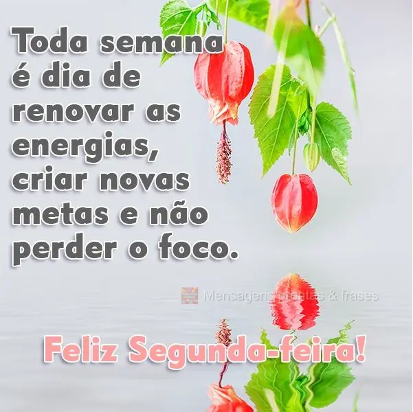 Todo início de semana é dia de renovar as energias, criar novas metas e não perder o foco. 
 Feliz Segunda-feira!