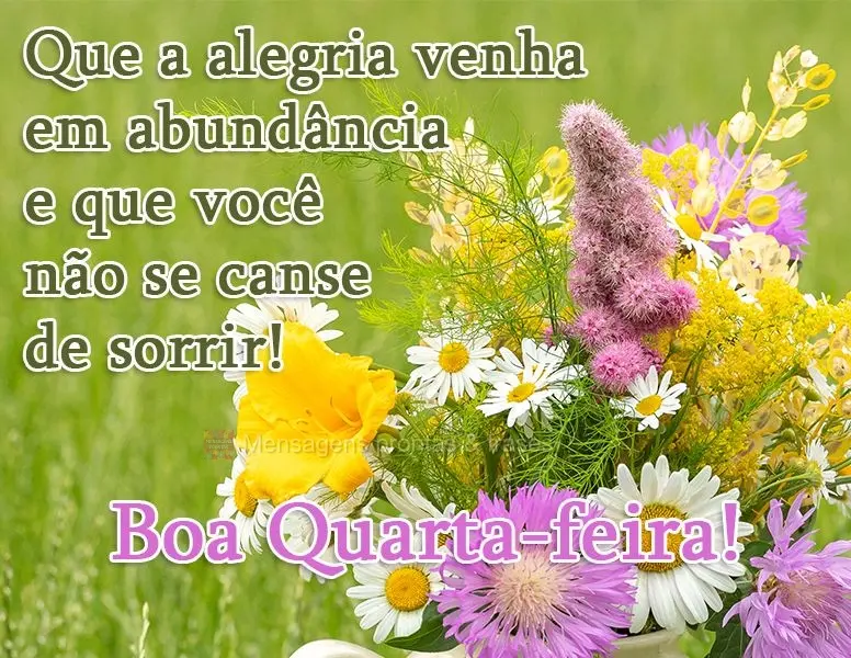 Que a alegria venha em abundância e que você não se canse de sorrir! 
 Boa Quarta-feira!