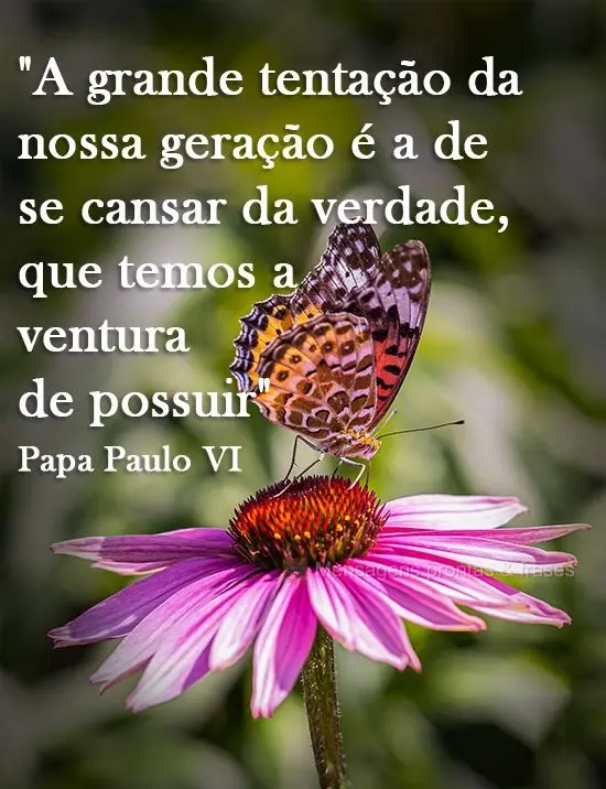"A grande tentação da nossa geração é a de se cansar da verdade que temos a ventura de possuir"
 Papa Paulo VI