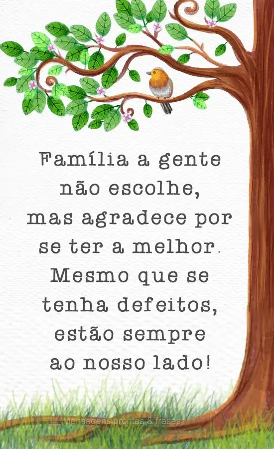 Família a gente não escolhe, mas agradece por se ter a melhor.
Mesmo que se tenha defeitos, estão sempre do nosso lado!