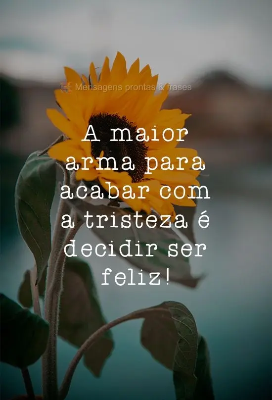 A maior arma para acabar com a tristeza é decidir ser feliz!
