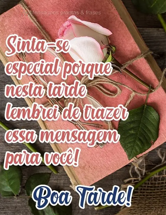 Sinta-se especial porque nesta tarde lembrei de trazer essa mensagem para  você! 
 Boa Tarde!