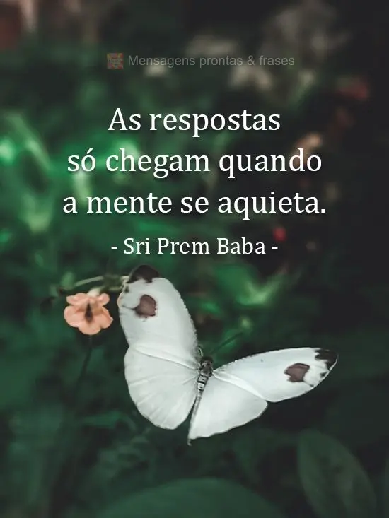 As respostas só chegam quando a mente se aquieta. 
 Sri Prem Baba
