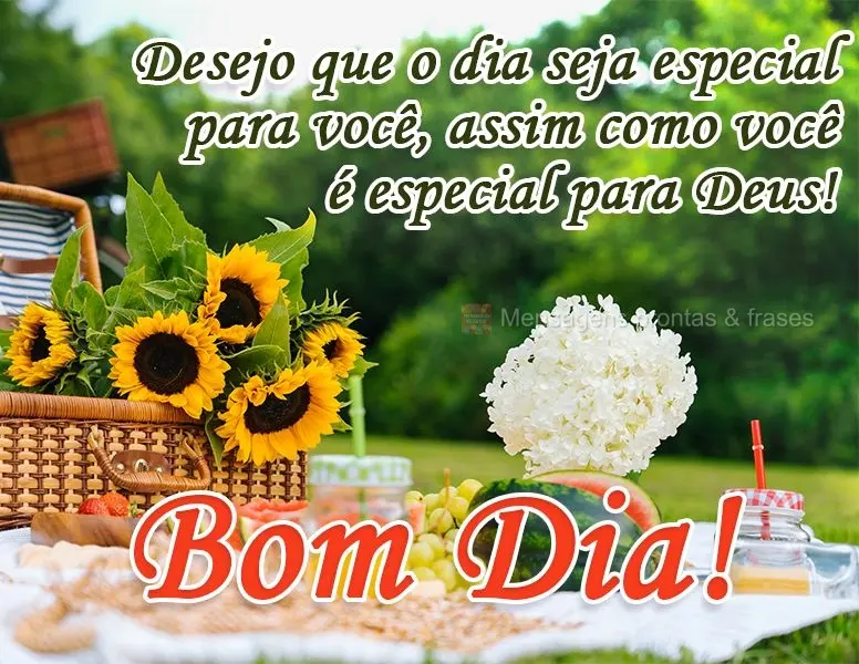 Desejo que o dia seja especial para você, assim como você é especial para Deus!  Bom Dia!