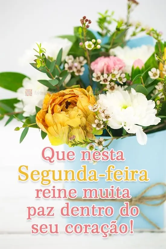 Que nesta Segunda-feira reine muita paz dentro do seu coração!
