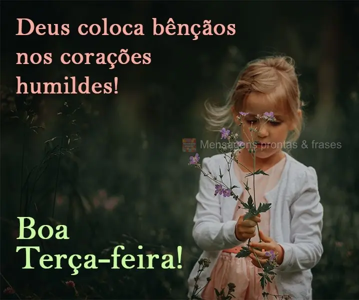 Deus coloca bênçãos nos corações humildes! 
 Boa Terça-feira!