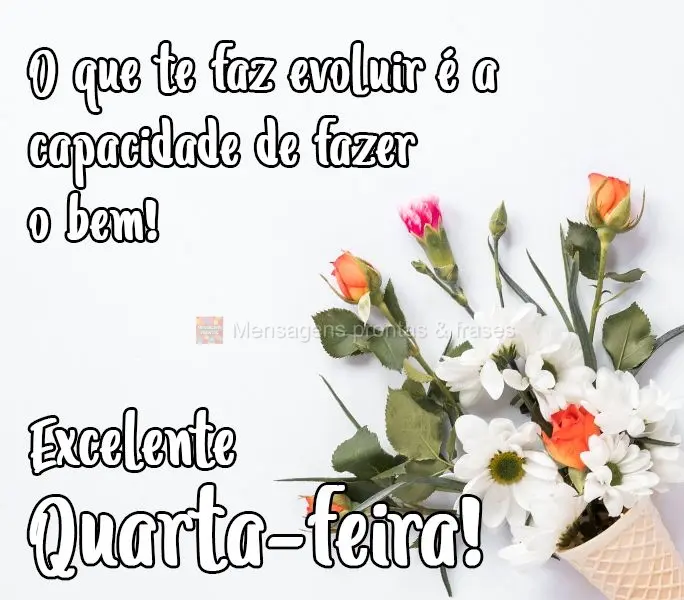 O que te faz evoluir é a capacidade de fazer o bem!  Excelente Quarta-feira!