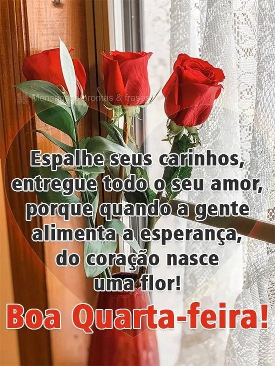 Espalhe seus carinhos, entregue todo o seu amor, porque quando a gente alimenta a esperança, do coração nasce uma flor! 
 Boa Quarta-feira!