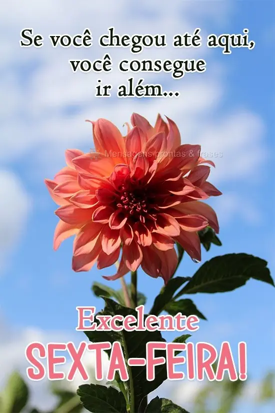 Se você chegou até aqui, você consegue ir além...
 Excelente Sexta-feira!