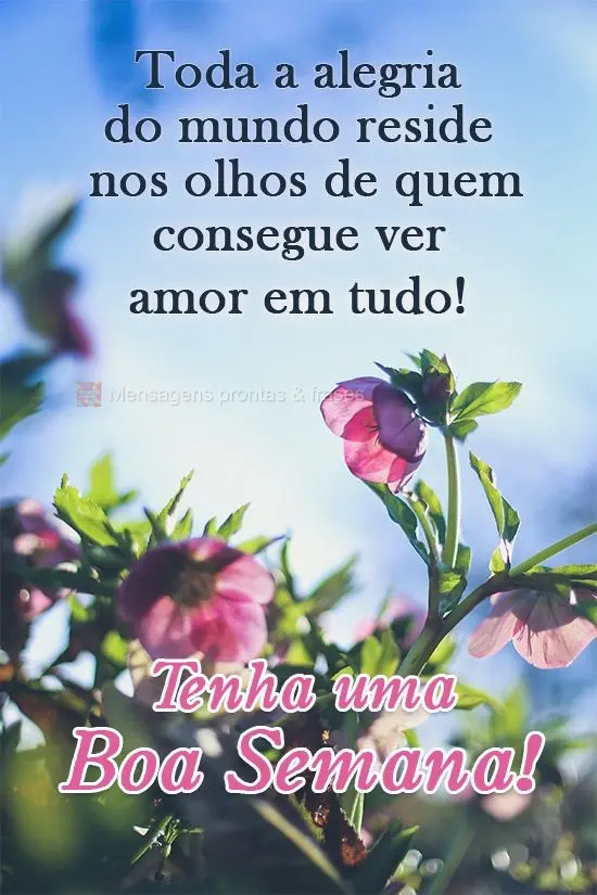 Toda a alegria do mundo reside nos olhos de quem consegue ver amor em tudo! 
 Tenha uma Boa Semana!