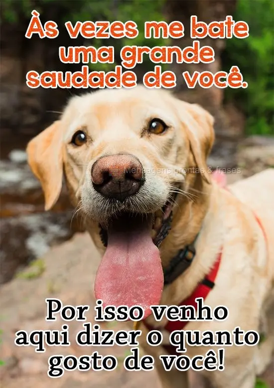 As vezes me bate uma grande saudade de você, por isso venho aqui dizer o quanto gosto de você!
