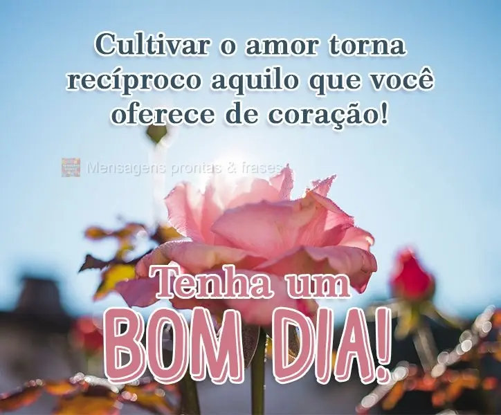 Cultivar o amor torna recíproco aquilo que você oferece de coração!  Tenha um Bom Dia!