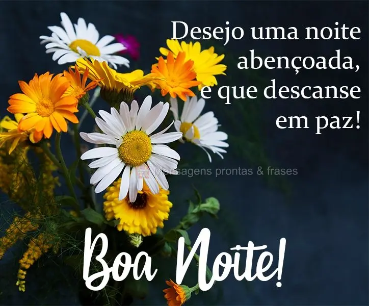 Desejo uma noite abençoada, e que descanse em paz!  Boa Noite!