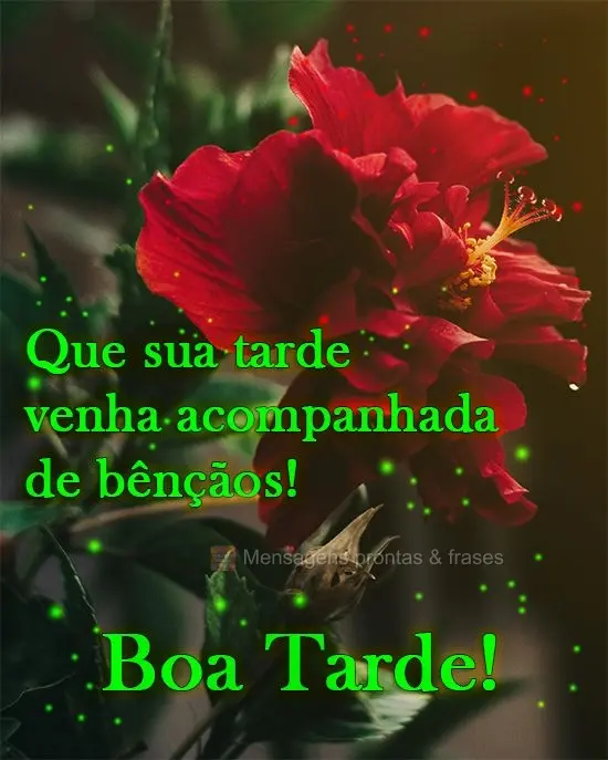 Que sua tarde venha acompanhada de bênçãos! 
 Boa Tarde!