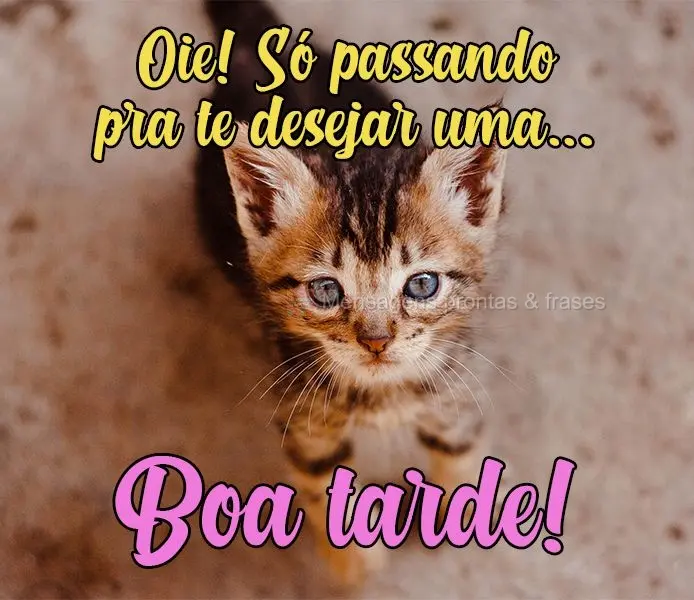Oie!Só passando pra te desejar uma...
 Boa tarde!