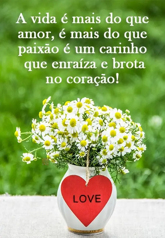 A vida é mais do que amor, é mais do que paixão, é um carinho que enraíza e brota no coração!

