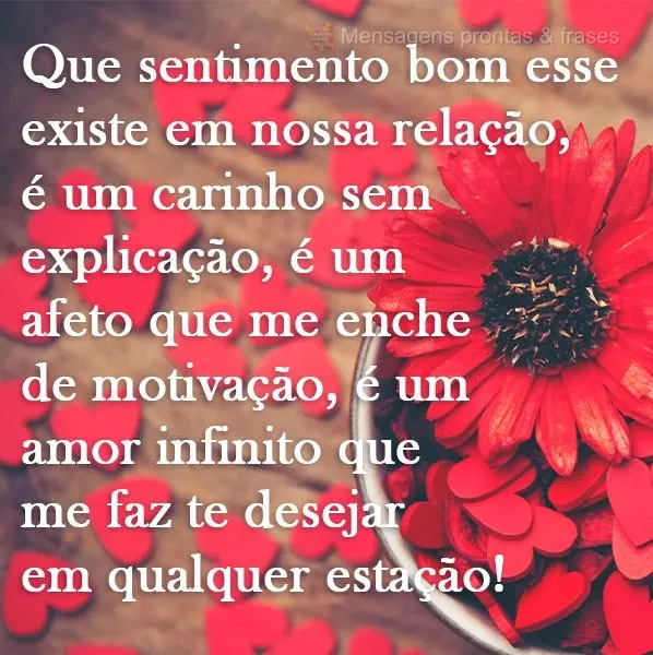 Que sentimento bom esse que existe em nossa relação... É um carinho sem explicação, é um afeto que me enche de motivação, é um amor infinito que...