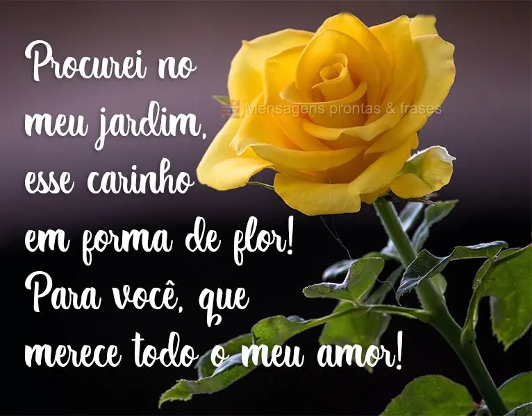 Procurei no meu jardim esse carinho em forma de flor! Para você, que merece todo o meu amor!
