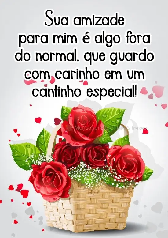 Sua amizade para mim é algo fora do normal, que guardo com carinho em um cantinho especial!
