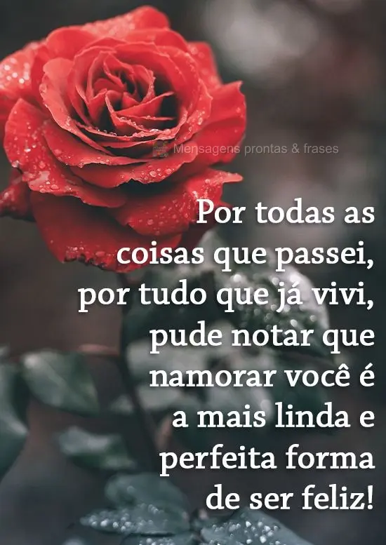 Por todas as coisas que passei, por tudo que já vivi, pude notar que namorar você é a mais linda e perfeita forma de ser feliz!
