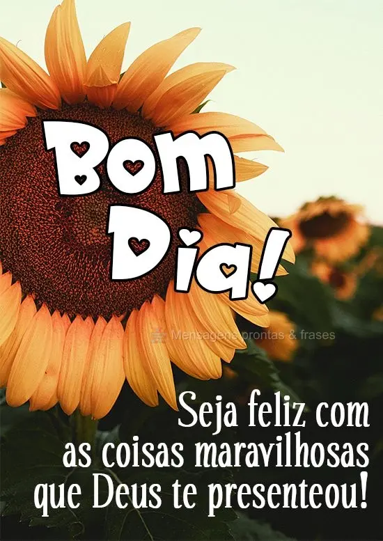 Seja feliz com as coisas maravilhosas que Deus te presenteou!
 Bom Dia! 