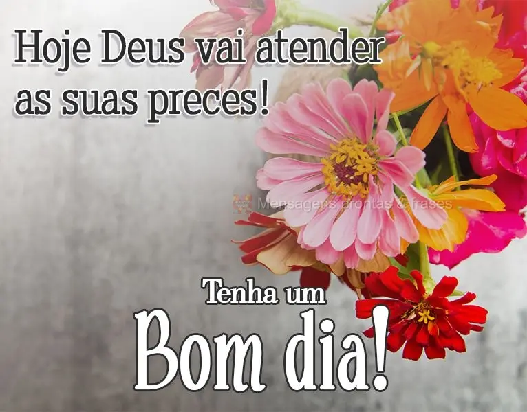 Hoje Deus vai atender as suas preces! 
 Tenha um Bom dia!