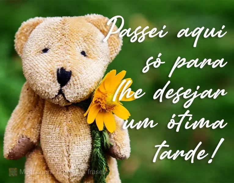 Passei aqui só para lhe desejar um ótima tarde!
