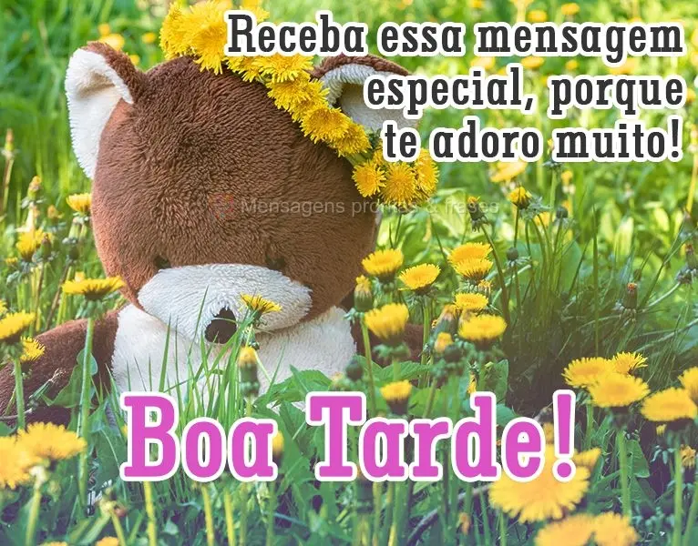 Receba esse carinho especial,porque te adoro muito! 
 Boa Tarde!