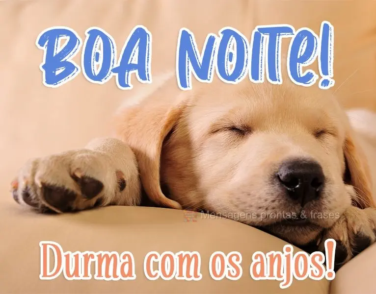 Boa Noite! Durma com os anjos!
