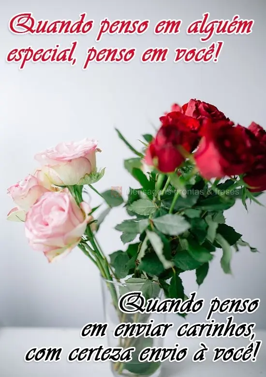Quando penso em alguém especial, penso em você! Quando penso em enviar carinhos, com certeza envio a você!
