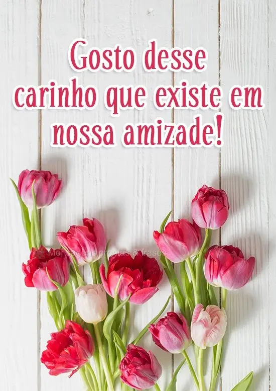 Gosto desse carinho que existe em nossa amizade!
