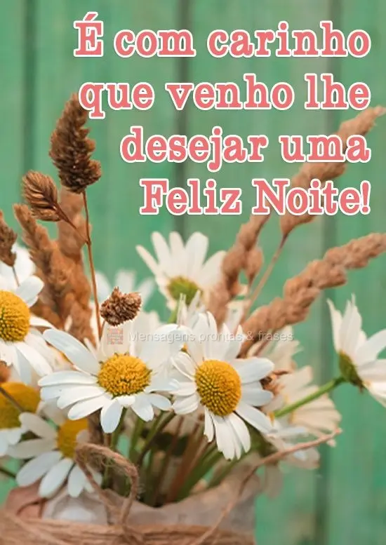 É com carinho que venho lhe desejar uma feliz noite!
