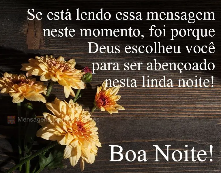 Se está lendo essa mensagem neste momento, foi porque Deus escolheu você para ser abençoado nesta linda noite! 
 Boa Noite!