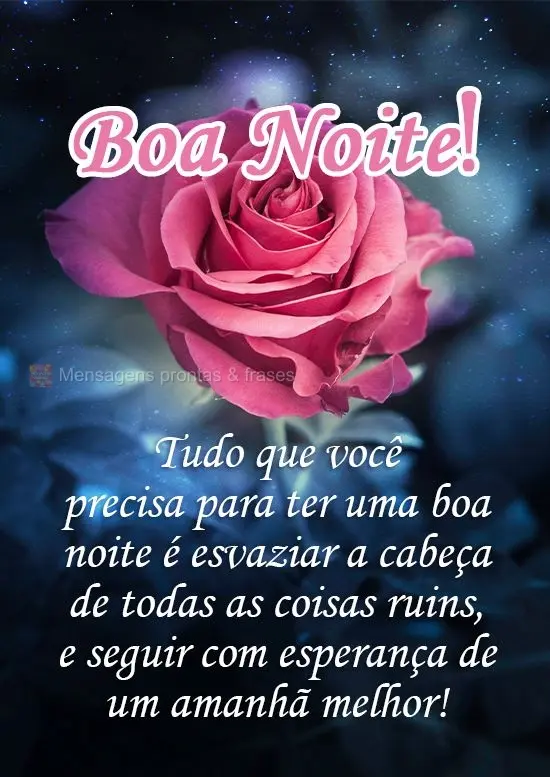 Tudo que você precisa para ter uma boa noite é esvaziar a cabeça de todas as coisas ruins, e seguir com a esperança de um amanhã melhor! 
 Boa Noit...