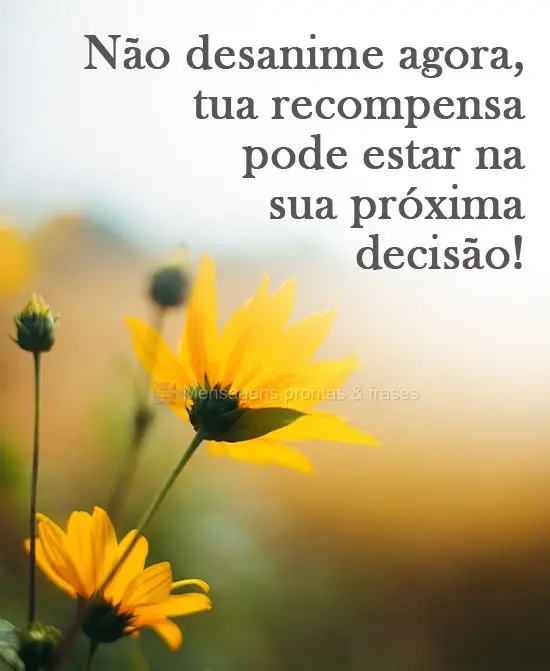 Não desanime agora, tua recompensa pode estar na sua próxima decisão!
