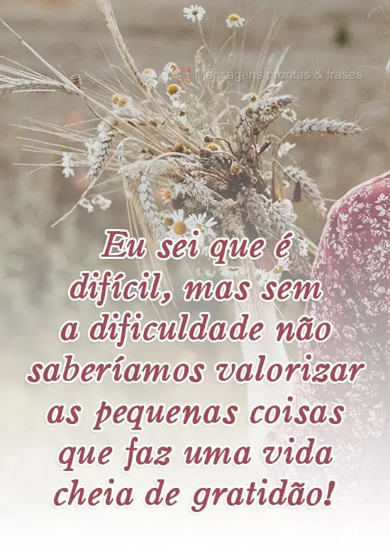 Eu sei que é difícil, mas sem a dificuldade não saberíamos valorizar as pequenas coisas que faz uma vida cheia de gratidão!
