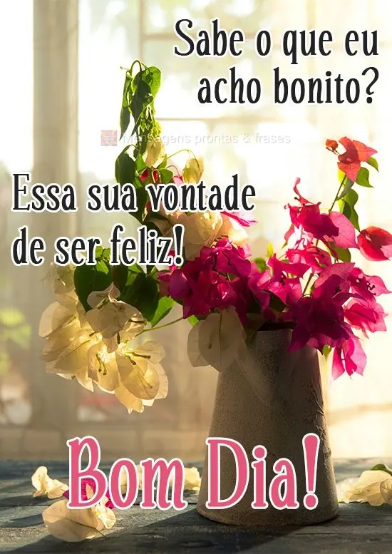 Sabe o que eu acho bonito? Essa sua vontade de ser feliz! 
 Bom Dia!