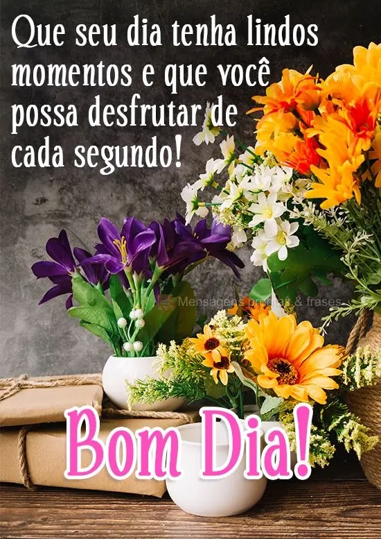 Que seu dia tenha lindos momentos e que você possa desfrutar de cada segundo! 
 Bom Dia!