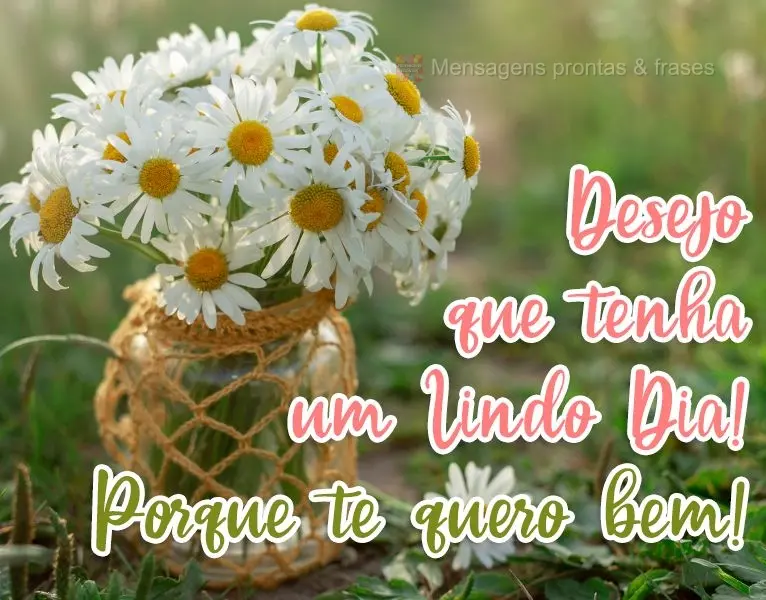 Desejo que tenha um Lindo Dia! Porque te quero bem!
