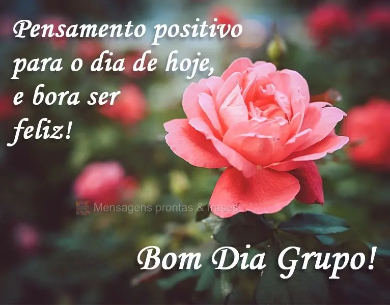 Pensamento positivo para o dia de hoje, e bora ser feliz!
  Bom Dia Grupo!