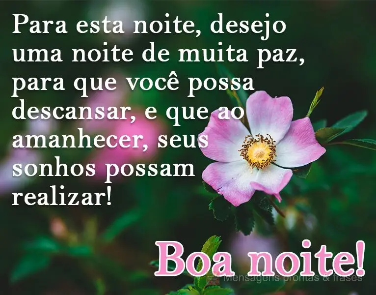 Para esta noite desejo uma noite de muita paz, para que você possa descansar. E que ao amanhecer, seus sonhos possam se realizar! 
 Boa noite!