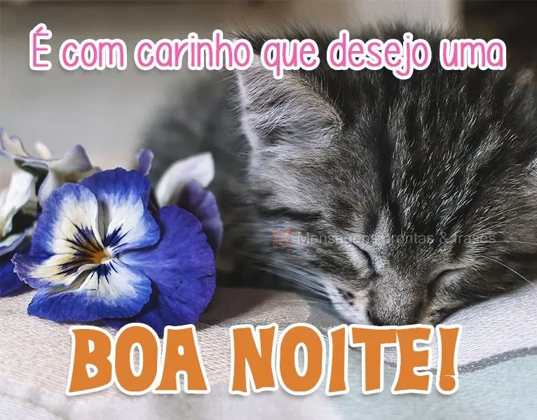 É com carinho que desejo uma Boa Noite!
