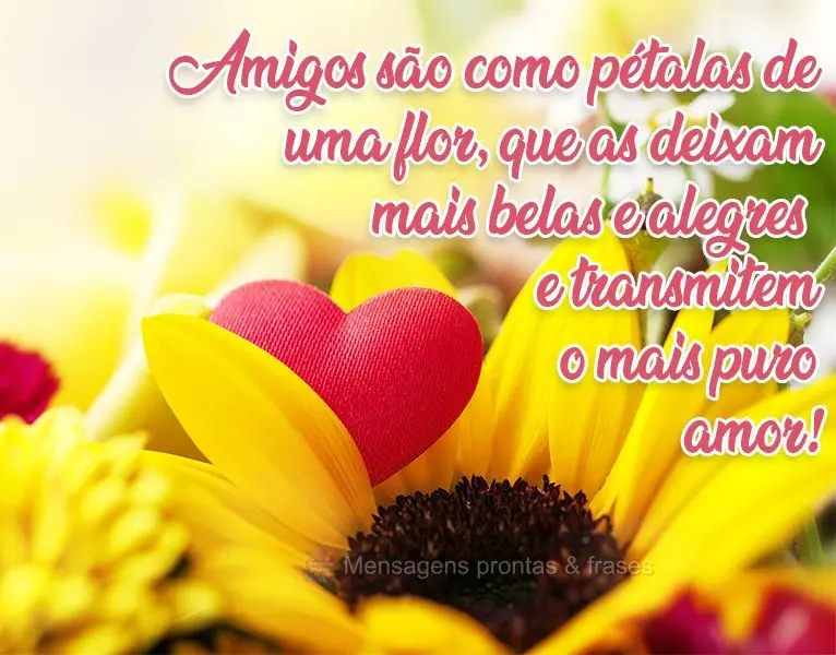 Amigos são como pétalas de uma flor, que as deixam mais belas e alegres, e transmitem o mais puro amor!

