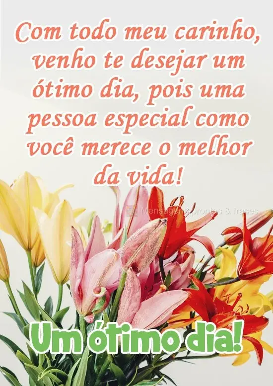 Com todo meu carinho, venho te desejar um ótimo dia, pois uma pessoa especial como você merece o melhor da vida!
 Um ótimo dia!