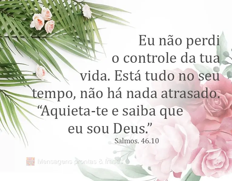 Eu não perdi o controle da tua vida. Está tudo no seu tempo, não há nada atrasado. “Aquieta-te e saiba que eu sou Deus.”
  Salmos. 46.10