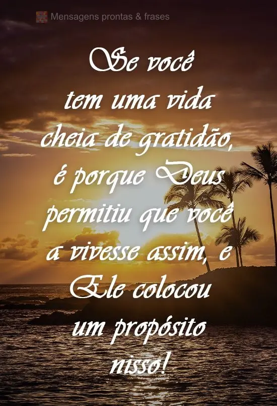 Se você tem uma vida cheia de gratidão, é porque Deus permitiu que você a vivesse assim, e Ele colocou um propósito nisso!

