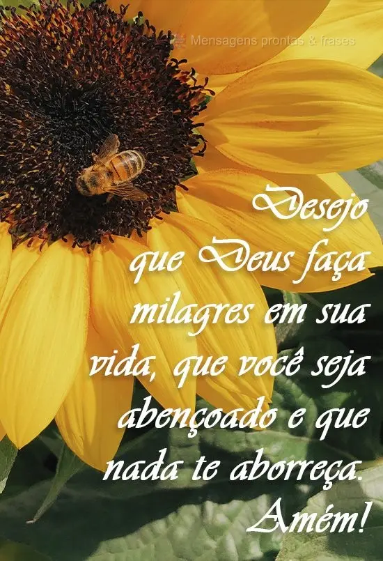Desejo que Deus faça milagres em sua vida, que você seja abençoado e que nada te aborreça. Amém!
