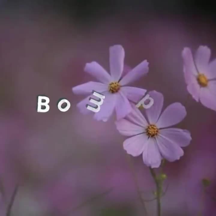 Bom diaaaa!!!
Na beleza desse novo dia 
Te desejo as coisas mais lindas da vida.
Que seu dia seja florido e alegre. 
Que ótimas notícias cheguem pa...