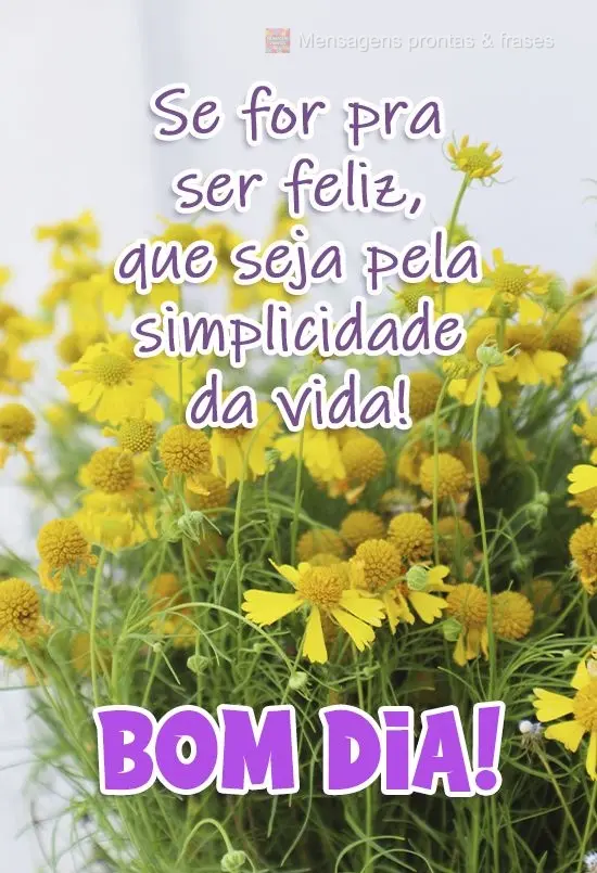 Se for pra ser feliz, que seja pela simplicidade da vida! 
 Bom dia!