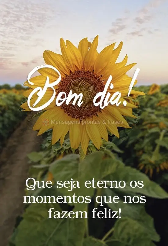 Que sejam eternos os momentos que nos fazem feliz!
 Bom dia! 